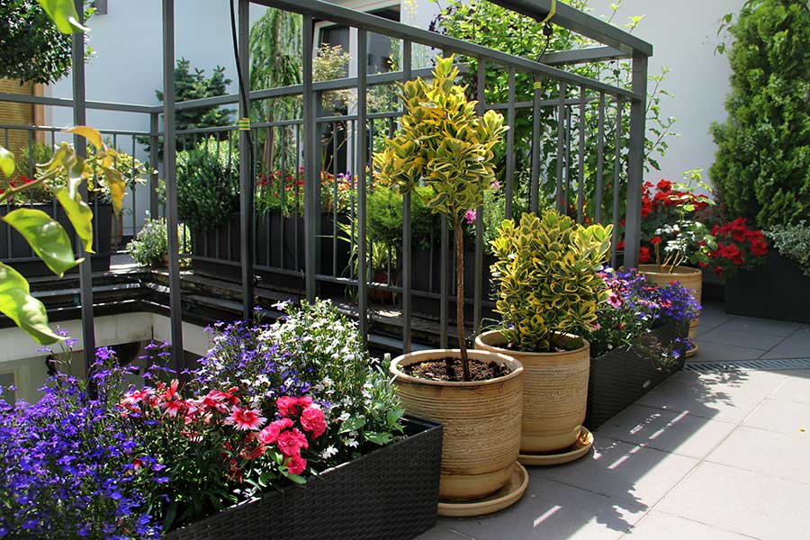 Courtyard garden with lots of freshly planted pots